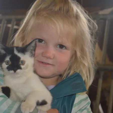 アパート Obergollerhof