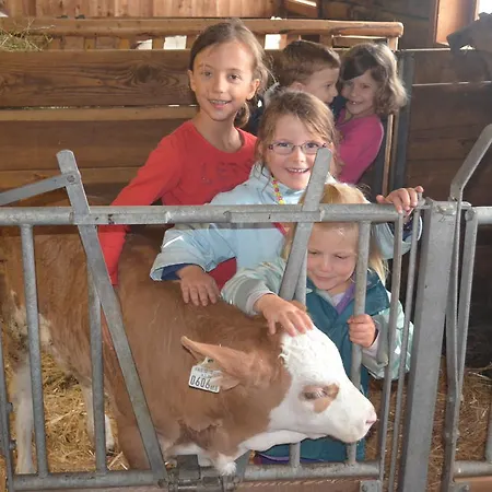 Appartement Obergollerhof Assling