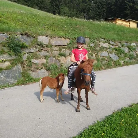Obergollerhof Appartement