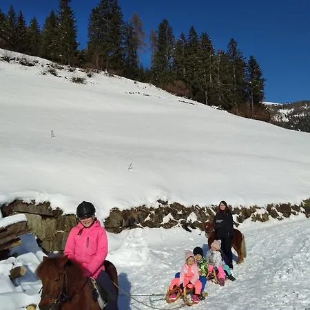 奥博格莱霍夫公寓 公寓 Assling